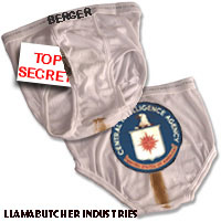 CIA berger brief safe.jpg